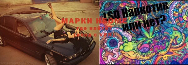 мдпв Горняк