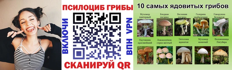 Псилоцибиновые грибы MAGIC MUSHROOMS  Мезень 